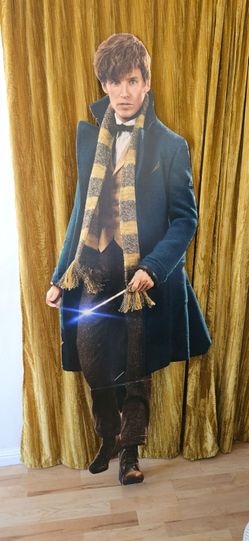 Newt Scamander (Fantastic Beasts) Standee Cutout