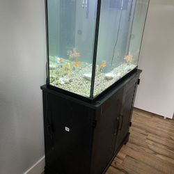 Fish Tank and Fish Tank Stand 