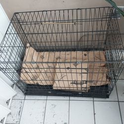 Cage