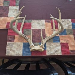 Intact Antlers