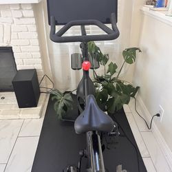 Peleton For Sale $999
