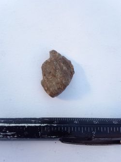 A rock