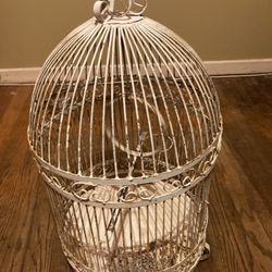 Bird Cage