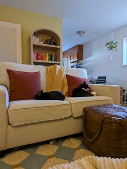 Free Loveseat