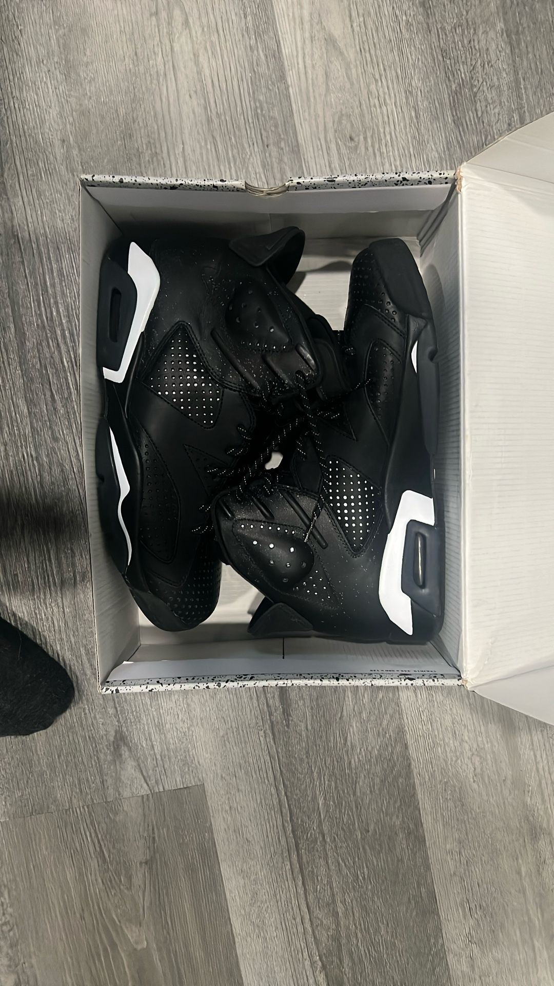 Jordan 6 Black Cats