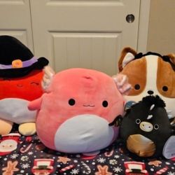 Squishmallows Bundle 
