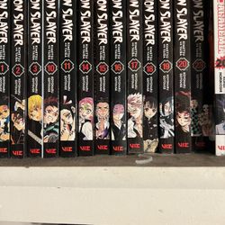 Demon Slayer Manga 