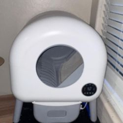 Cat Litter Box 