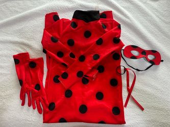Miraculous custume