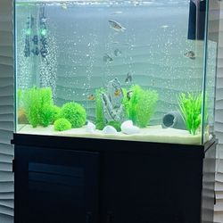 Fish Tank 