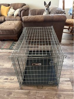 Medium Pet Crate