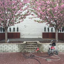 6 Large Wood Planters Forever Redwood - Douglas -Fir Napa