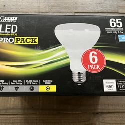 Performance LED Pro Pack Dimmable BR30–6 pk— NEW