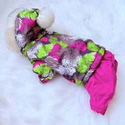 Small dog clothing winter wear