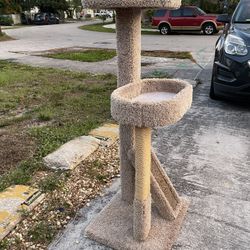 Cat Tree 