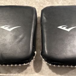 Focus Mitts- Boxing Mitts