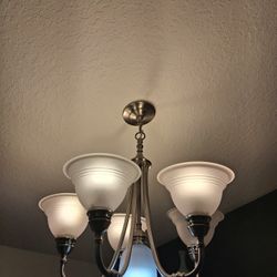 Pendent Chandelier 