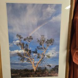 Beautiful Picture With Wooden Frame