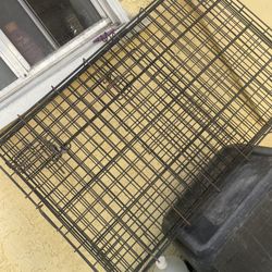 Dog Cage