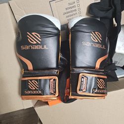 Men's Sanabul Boxing Gloves  $30 