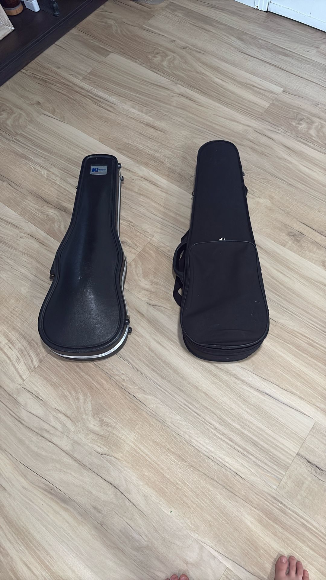 Viola And Violin