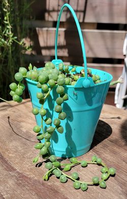 String Of Pearls