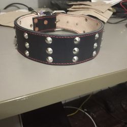 Leather DOG collar Strong 💪 M,L,XL  100% Leather  ( Collares Para Perros Todas Las Medidas  De Vaqueta  Cuero)