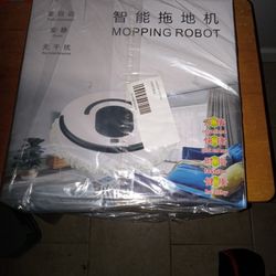 Mopping Robot 