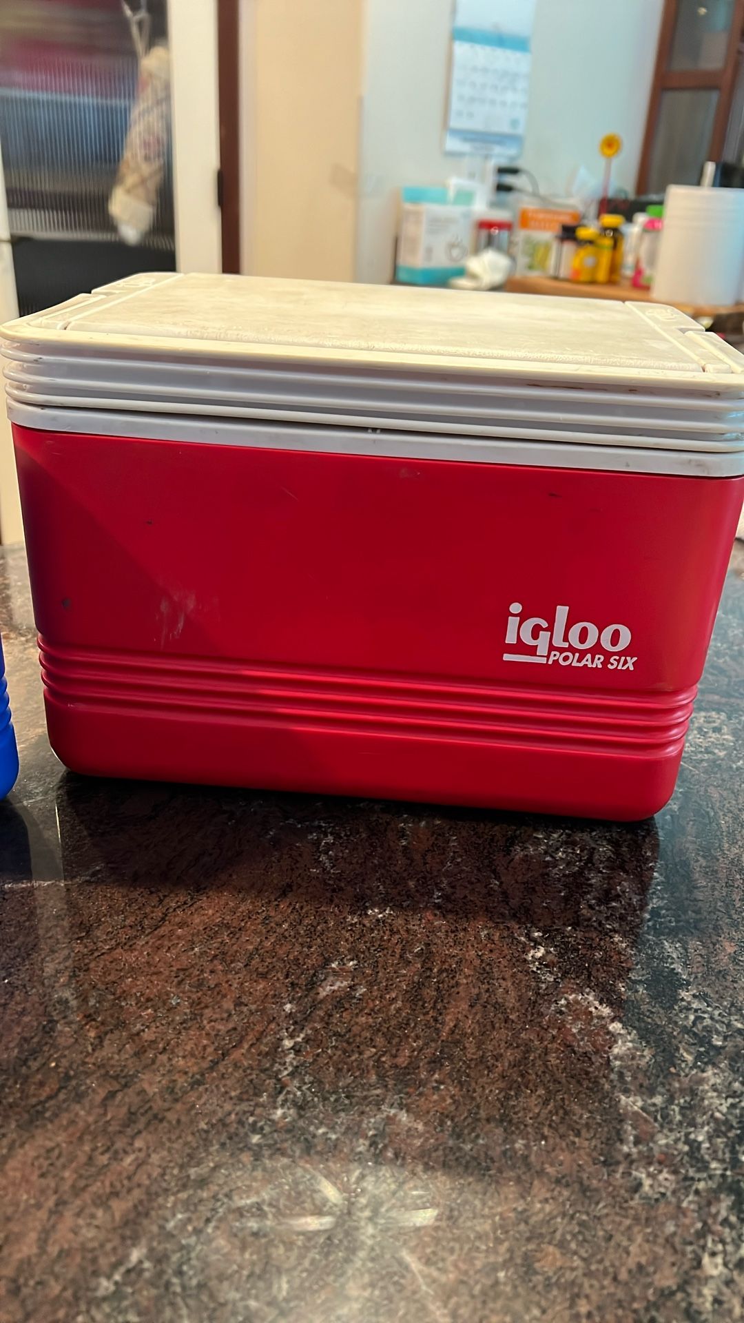 Igloo Cooler