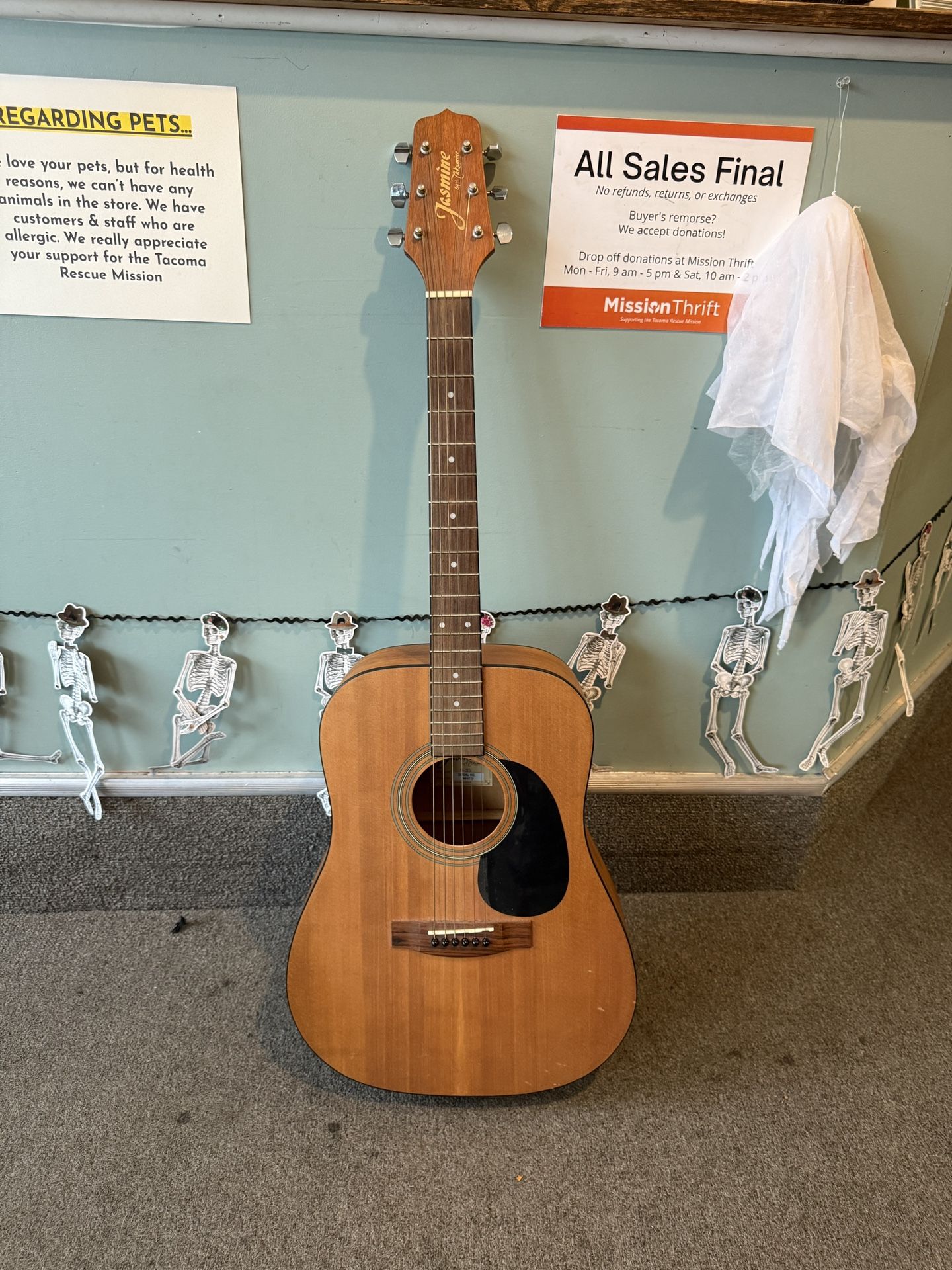 Jasmine By Takamine Acoustic Guitar W/ Soft Case, Accessories & 3 Books