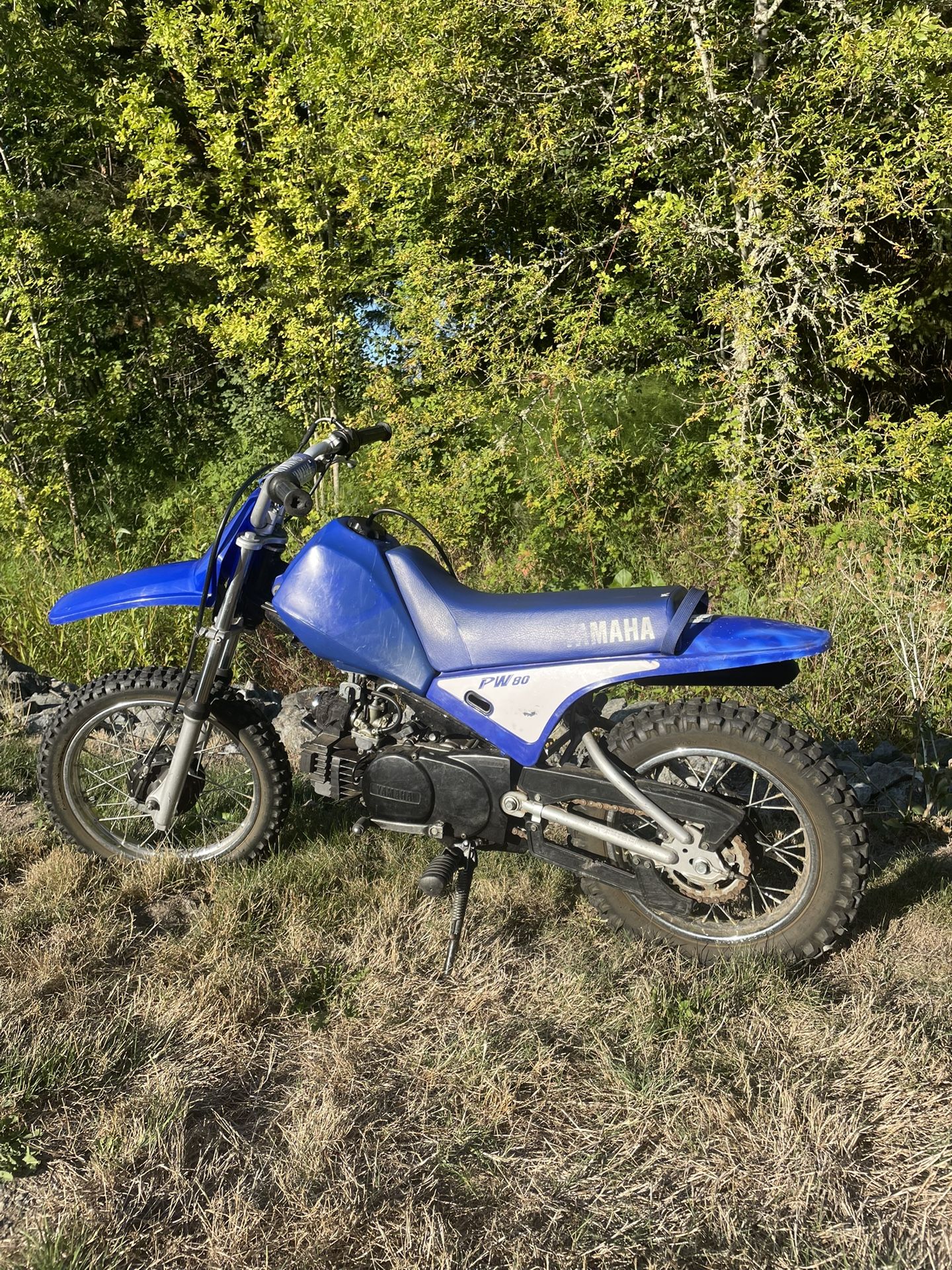 Yamaha PW80 Dirtbike 