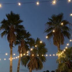100ft 32 LED Bulbs Globe Shatterproof Outdoor String Light
