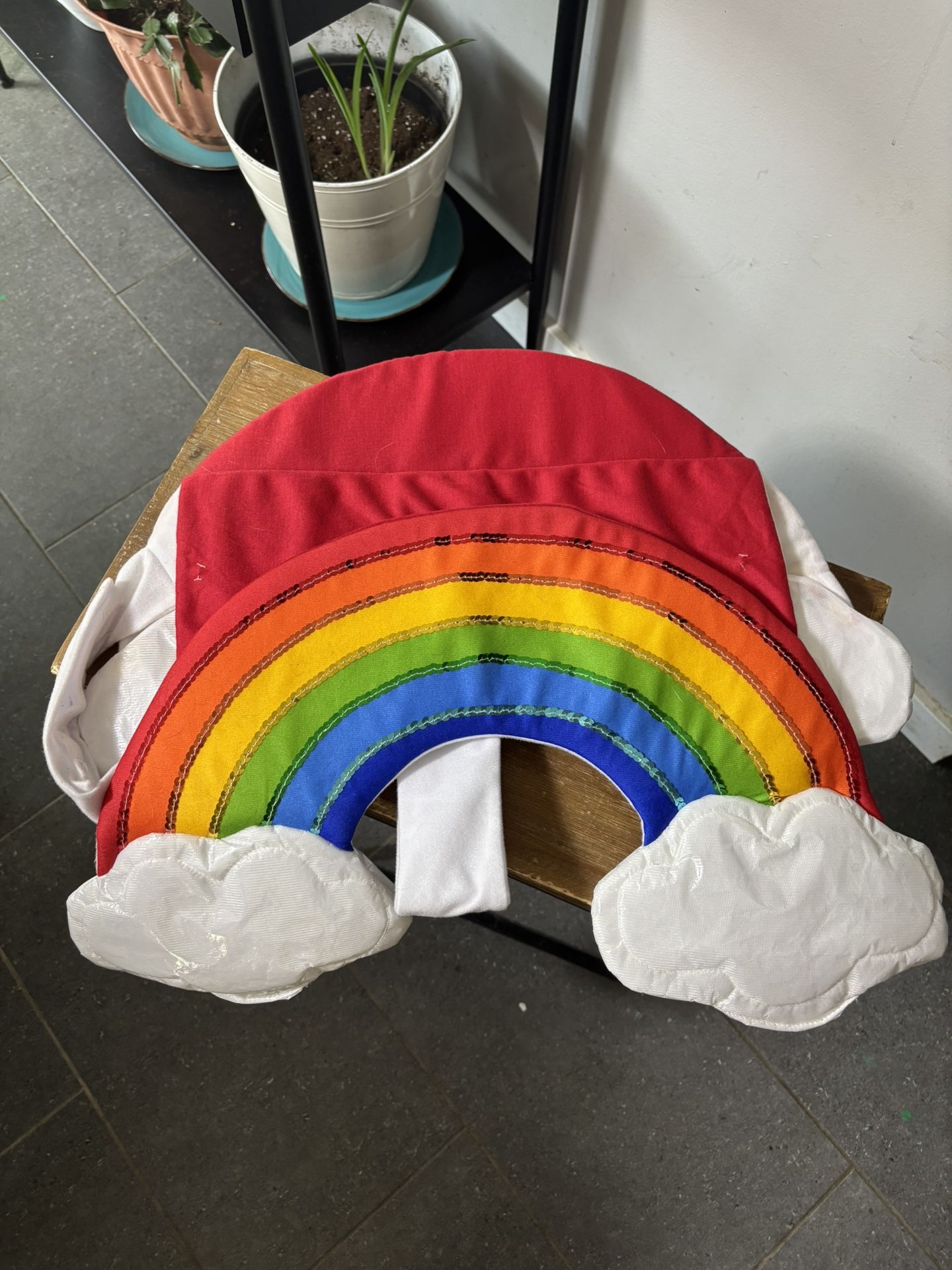 Rainbow Dog Costume