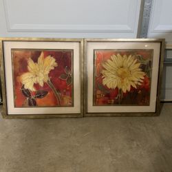 Beautifully Framed and Matted Flower Pictures 
