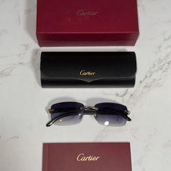 Cartier Sunglasses – Genuine Horn (Buffs), Gold Details (Made in France)