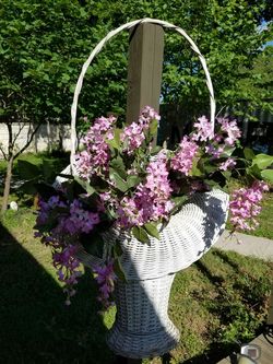 Large Antique wicker planter with flowers