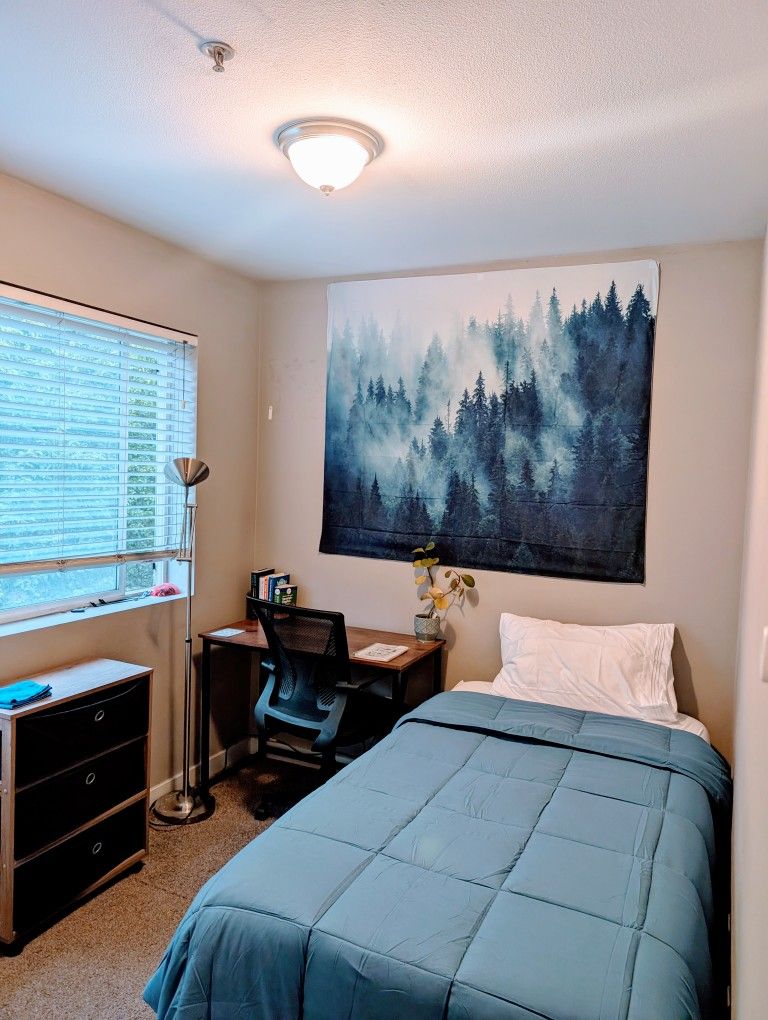 Bed, Desk, Chair, and Dresser