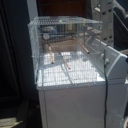 Bird Cage 