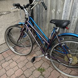 Dos Bicicletas 100 Por Las Dos