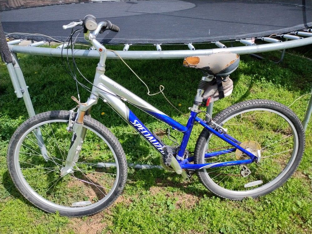 Adult Bike