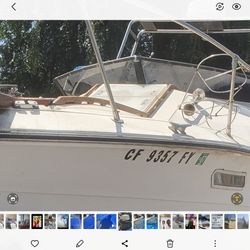 1977 Searay Sundancer 