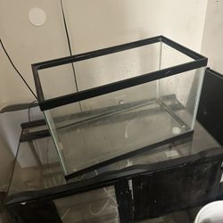 5 Gallon Fish Tank