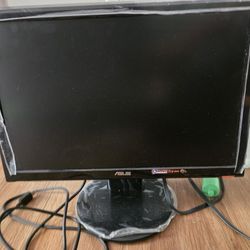 19" Asus LCD Monitor 