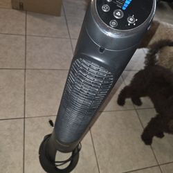 Fan