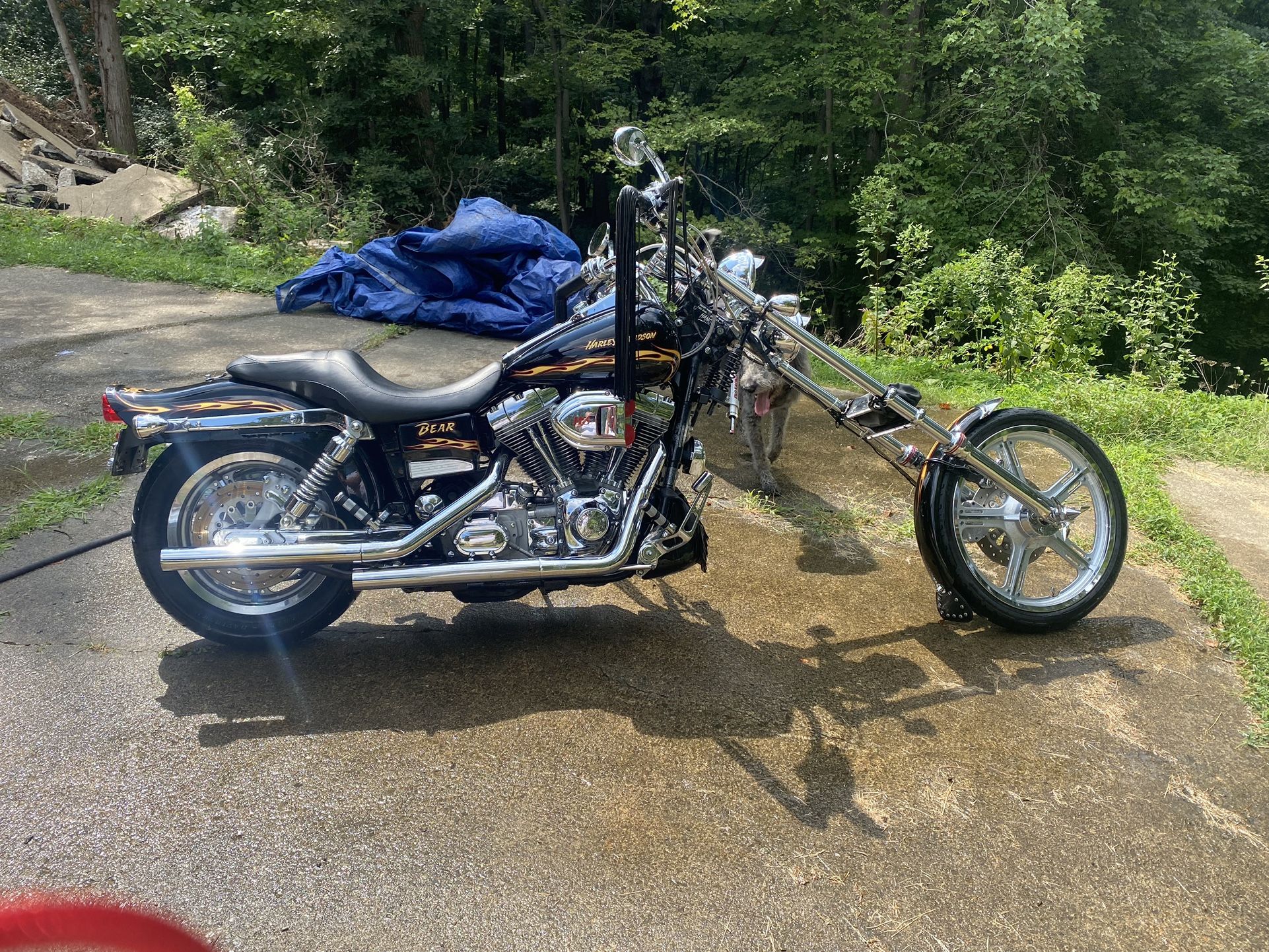 2002 Harley Davidson Dyna wide glide CVO