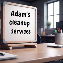 Cleaning Service