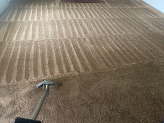 CARPET