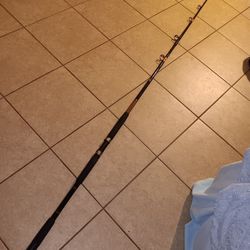 10ft Ugly Stick Fishing Rod...