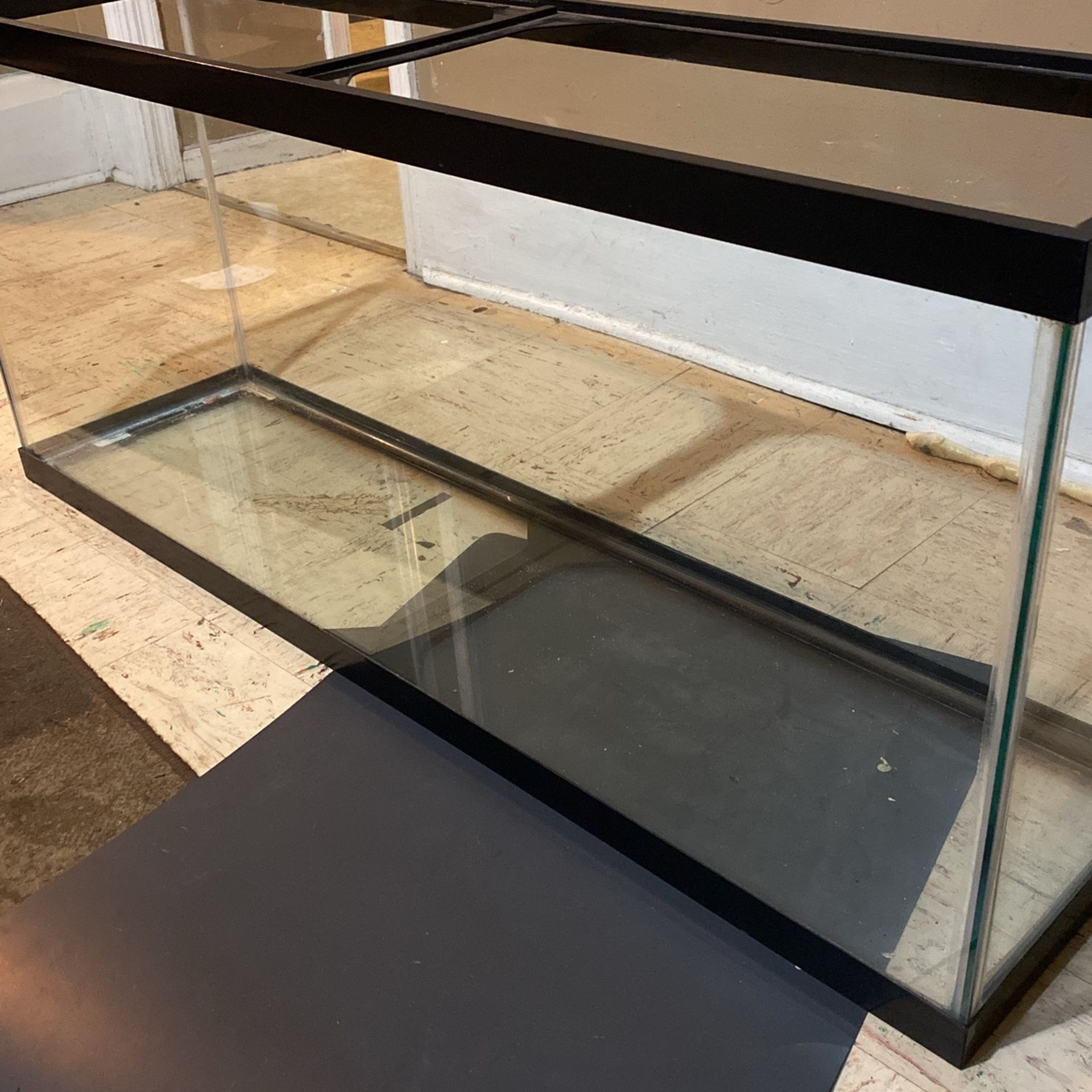 Fish Tank