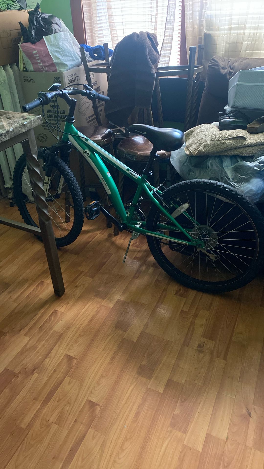 Mountain Bike (Pick Up Only)